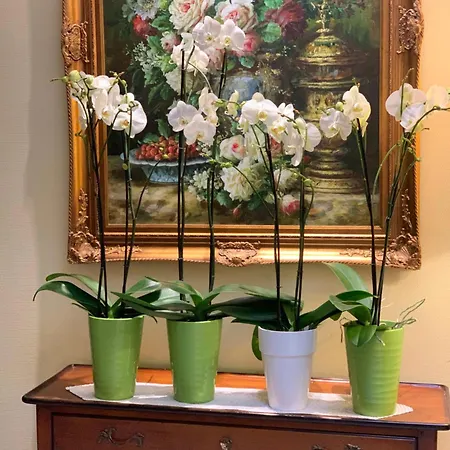 Отель Bristol 4*