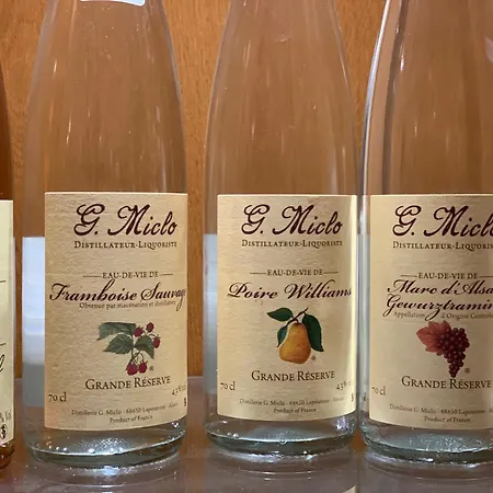 Bristol Отель 4*