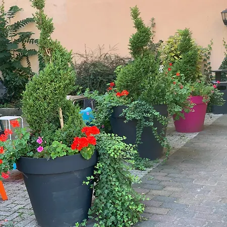 Bristol Отель 4*